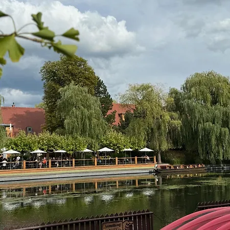 Haus Waldidyll Am Briesensee 펜션 Neu Zauche