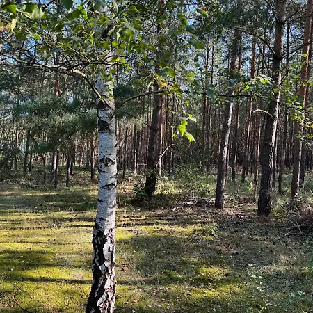 Haus Waldidyll Am Briesensee 펜션 *