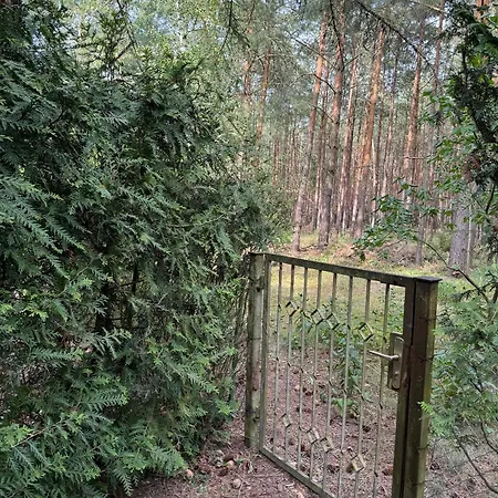 Haus Waldidyll Am Briesensee * Neu Zauche