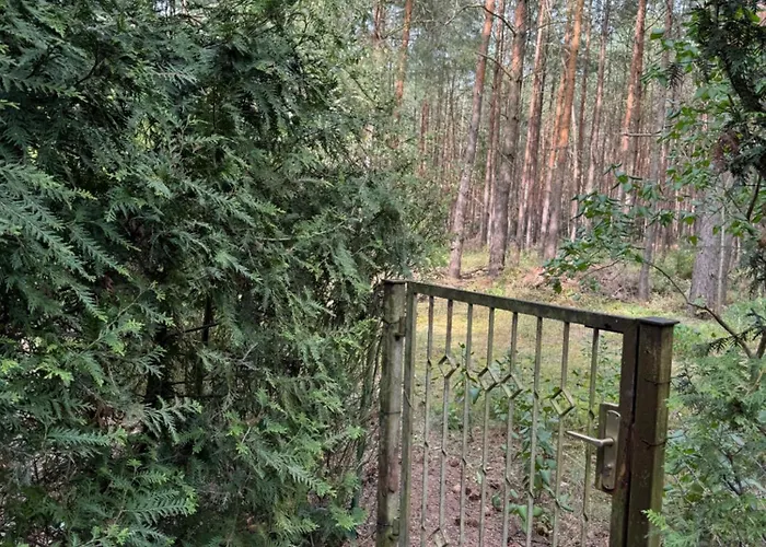 Haus Waldidyll Am Briesensee Сasa de vacaciones *