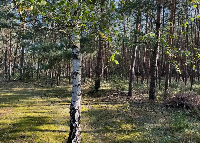 Haus Waldidyll Am Briesensee Сasa de vacaciones *