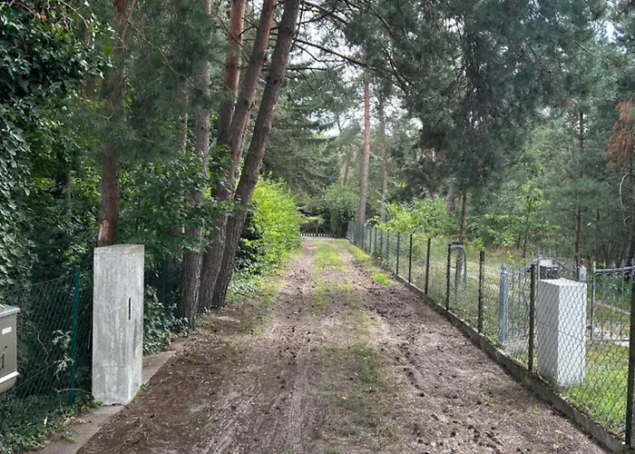 Haus Waldidyll Am Briesensee * Neu Zauche